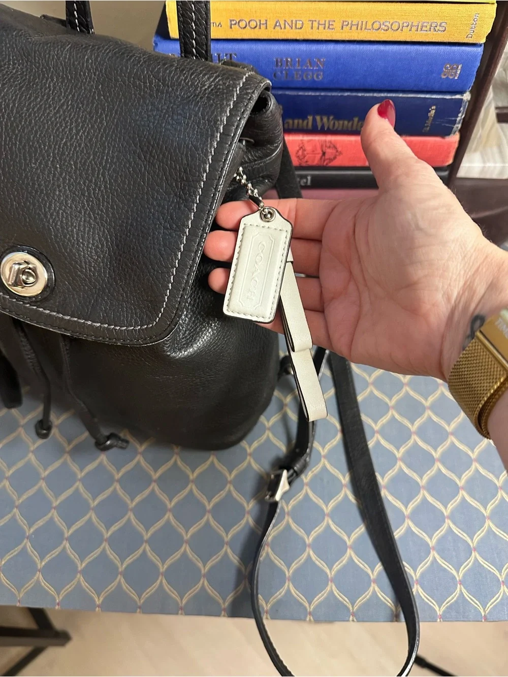 Coach Vintage Park Pebbled Leather Mini Backpack Black/Silver | Style F24385